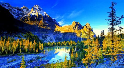 hd wallpaper for laptop|Top Free 4K Laptop Backgrounds .